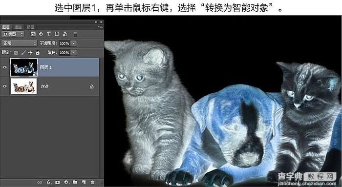 Photoshop快速把动物照片转为专业的素描效果5