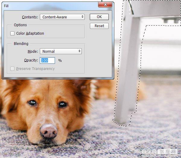 PS利用涂抹工具将宠物照片转为绘画效果4
