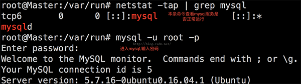 ubuntu16.04.1下 mysql安装和卸载图文教程3