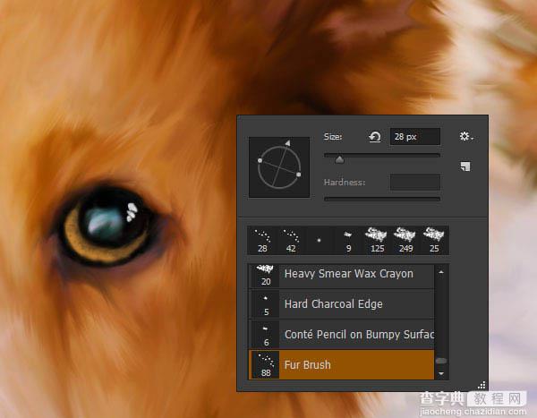 PS利用涂抹工具将宠物照片转为绘画效果46
