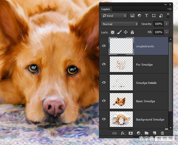 PS利用涂抹工具将宠物照片转为绘画效果47