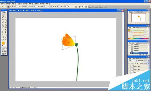 ps怎么做花开的动画?ps画花朵展开gif动图的教程23