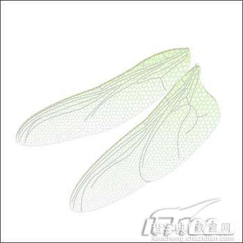 Photoshop鼠绘教程:精细制作蜻蜓翅膀7