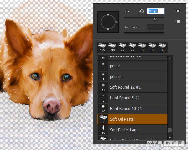 PS利用涂抹工具将宠物照片转为绘画效果35