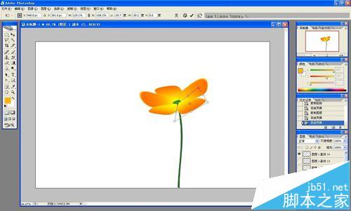 ps怎么做花开的动画?ps画花朵展开gif动图的教程29