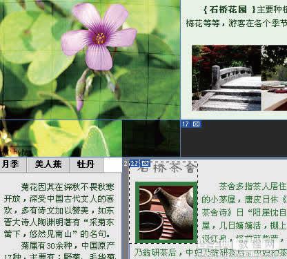Photoshop制作网站首页(6):控制版面与插入Spry对象1