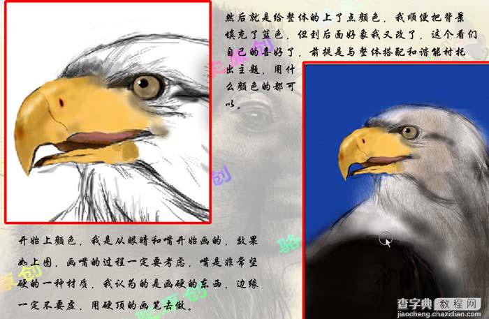 photoshop 鼠绘一只彩色羽毛的鹰4