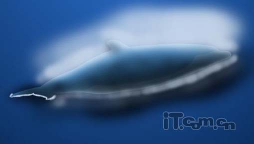 Photoshop将真实海豚照片制作成可爱的卡通海豚图片8