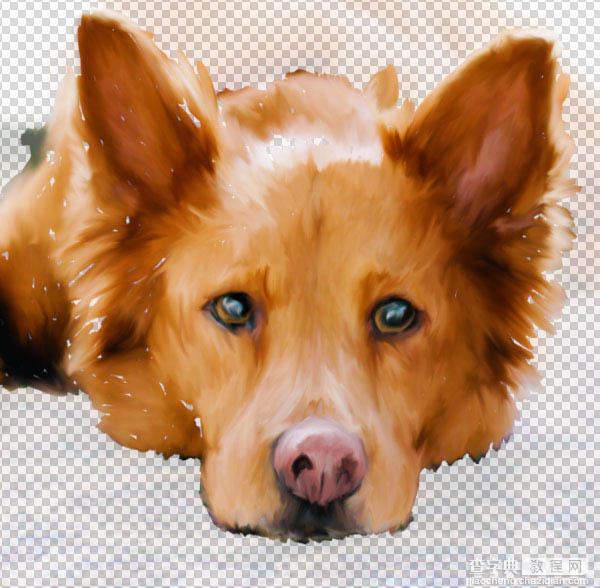 PS利用涂抹工具将宠物照片转为绘画效果33