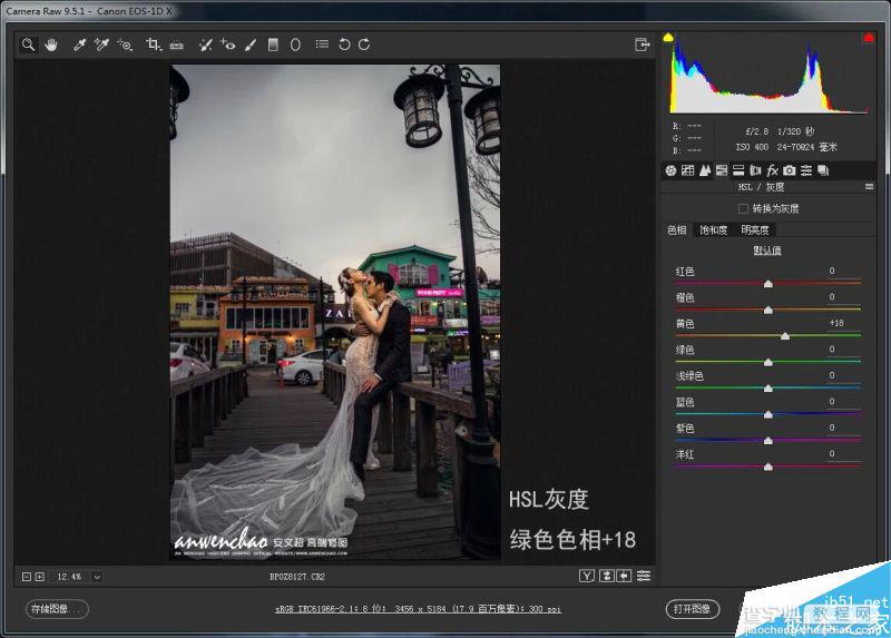 PS后期打造唯美浪漫的夜景婚片6