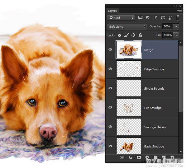 PS利用涂抹工具将宠物照片转为绘画效果51