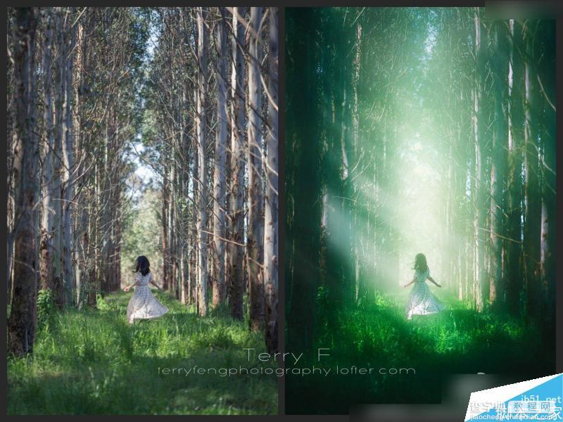 Photoshop给森林照片添加唯美的丁达尔光效(耶稣光)1