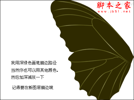 PhotoShop(PS)模仿鼠绘漂亮的彩色蝴蝶实例教程5
