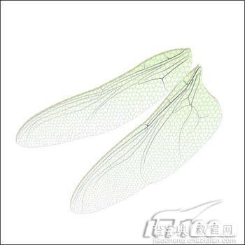 Photoshop鼠绘教程:精细制作蜻蜓翅膀8