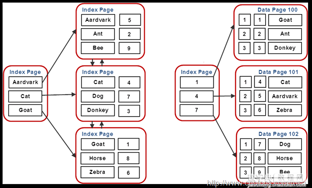 sqlserver 索引的一些总结16