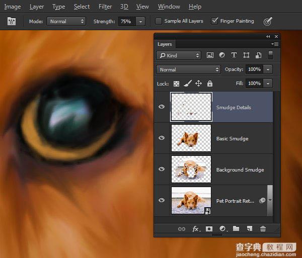 PS利用涂抹工具将宠物照片转为绘画效果38