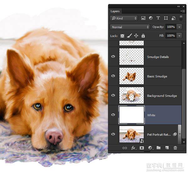 PS利用涂抹工具将宠物照片转为绘画效果48
