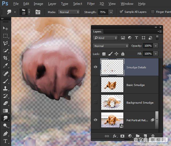 PS利用涂抹工具将宠物照片转为绘画效果37