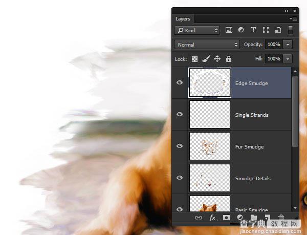 PS利用涂抹工具将宠物照片转为绘画效果49