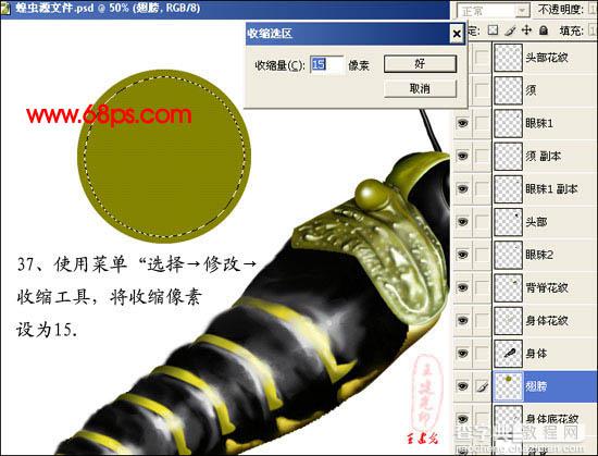 photoshop 鼠绘超真实的蝗虫39