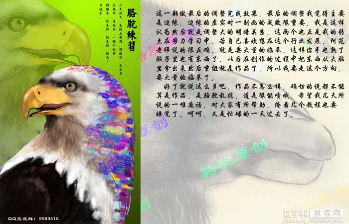 photoshop 鼠绘一只彩色羽毛的鹰7