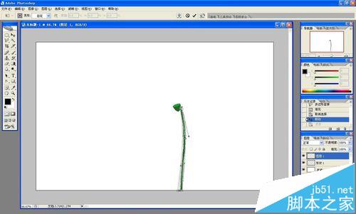 ps怎么做花开的动画?ps画花朵展开gif动图的教程10