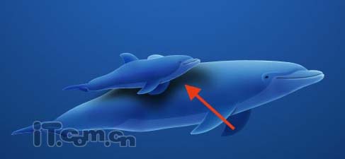 Photoshop将真实海豚照片制作成可爱的卡通海豚图片30