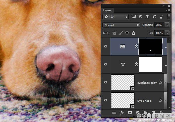 PS利用涂抹工具将宠物照片转为绘画效果20
