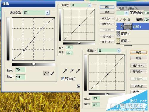 用ps将夏季绿色图片变成秋季的黄色效果9