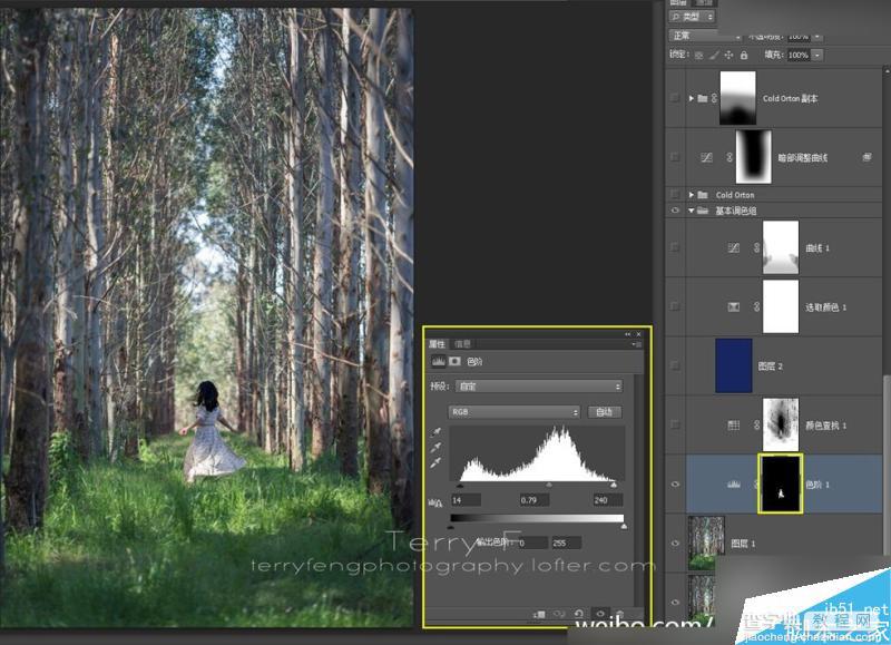Photoshop给森林照片添加唯美的丁达尔光效(耶稣光)7