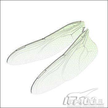 Photoshop鼠绘教程:精细制作蜻蜓翅膀9