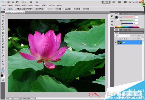 用PS将现实照片打造成漂亮的水墨画效果3