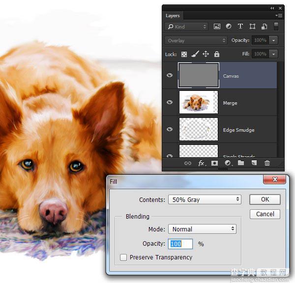 PS利用涂抹工具将宠物照片转为绘画效果52