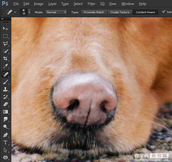 PS利用涂抹工具将宠物照片转为绘画效果7