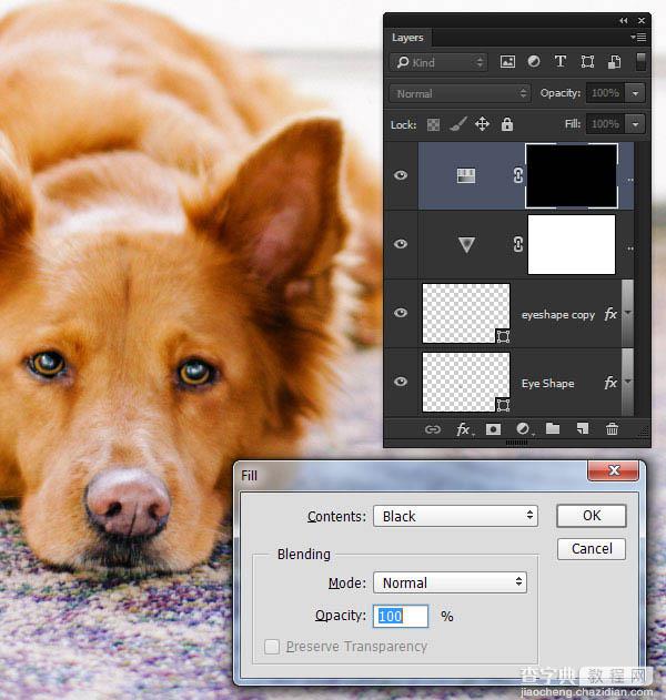 PS利用涂抹工具将宠物照片转为绘画效果18