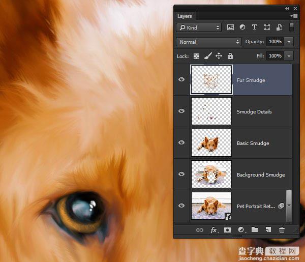 PS利用涂抹工具将宠物照片转为绘画效果45