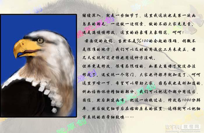 photoshop 鼠绘一只彩色羽毛的鹰5