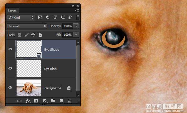 PS利用涂抹工具将宠物照片转为绘画效果9