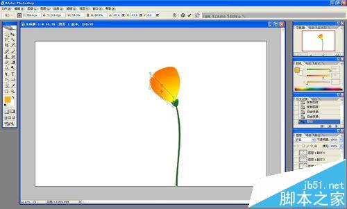 ps怎么做花开的动画?ps画花朵展开gif动图的教程16