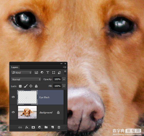 PS利用涂抹工具将宠物照片转为绘画效果8