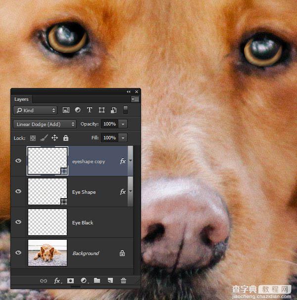 PS利用涂抹工具将宠物照片转为绘画效果15