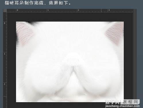 photoshop鼠绘神态憨厚的小白猫头像效果13