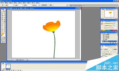 ps怎么做花开的动画?ps画花朵展开gif动图的教程31