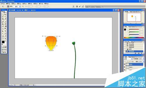 ps怎么做花开的动画?ps画花朵展开gif动图的教程12