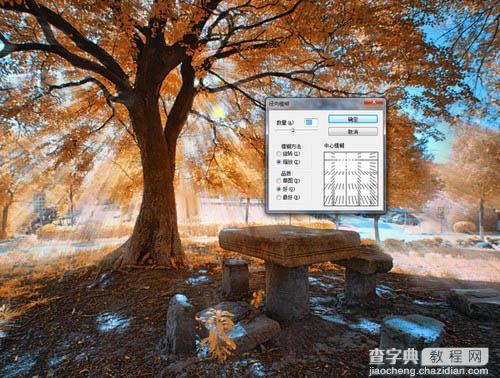 使用Photoshop滤镜制作唯美太阳光效果的大树照片5