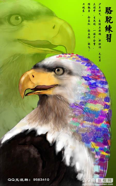 photoshop 鼠绘一只彩色羽毛的鹰1