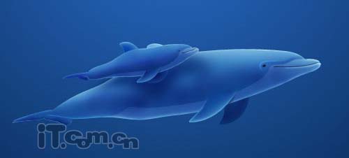 Photoshop将真实海豚照片制作成可爱的卡通海豚图片31