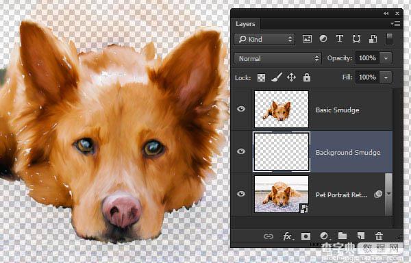 PS利用涂抹工具将宠物照片转为绘画效果34