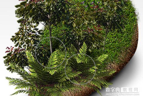 Photoshop 3D生态模型壁纸制作方法17