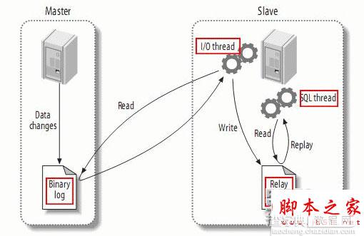 mysql 5.6.14主从复制(也称mysql AB复制)环境配置方法1